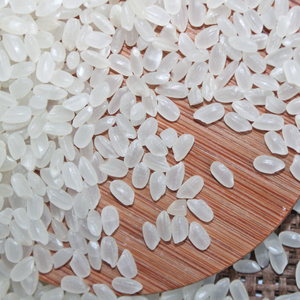 Arroz Japonica 5% Grano Redondo Roto Contactar a David en + 84986778999/+ 84867778224 para Consultas - Product Image 1