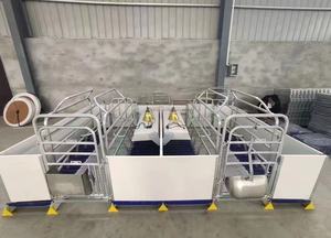 Fácil de instalar, equipo de cría de cerdos duradero, jaula para cerdos de cría, jaula de maternidad, puesto de parto para cerdas/pluma de parto - Product Image 4