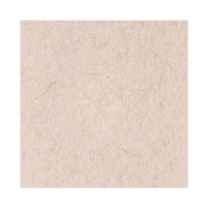 Discos de Pulido para Pisos Boardwalk de 20 Pulgadas, Color Bronceado, 5 Unidades por Caja, Discos de Pulido de Pelo de Cerdo Natural, Diámetro de 20 Pulgadas - Product Image 3