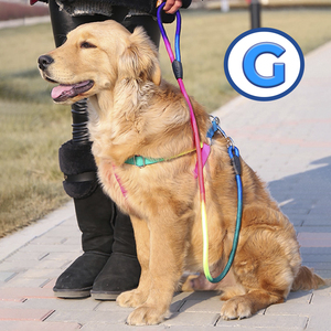 Set Guinzaglio e Pettorina per Cani di Taglia Grande, Design Semplice, Comodo e Traspirante in Nylon, Corduroy e Neoprene, per Gatti, Fantasia Tinta Unita - Product Image 1