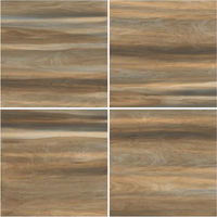 Carreaux de porcelaine ROBEL WOOD VERDE brun rustique 600x600mm modèle de mur et de sol par Novac Ceramic LLP pour applications indiennes