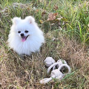 Natural Hemp Tug Toys for Dogs <b>Cats</b> Eco-Friendly Durable Stick-Shaped Pet Toys Cartoony Made Cotton Wood Plush for Play <b>Gift</b> Bag - Product Image 3