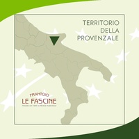 Italiaanse natuurlijk gefermenteerde extra vierge olijfolie met biologische certificering 500ml blik export private label