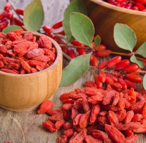 MEJOR ELECCIÓN DE VIETNAM // BAYAS GOJI SECAS con 100% NATURALES // ALTA CALIDAD CON PRECIO RAZONABLE - Product Image 5