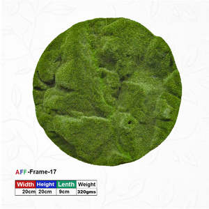 กรอบมอสเทียมทรงกลมติดผนัง-50X50 ซม. - Product Image 1