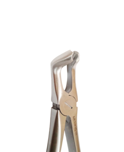 Forceps pour extrait de dent de sagesse inférieure Fig. 79, Pince d'extraction de troisième molaire, Instrument de chirurgie dentaire professionnel, Outil chirurgical autoclavable - Product Image 6