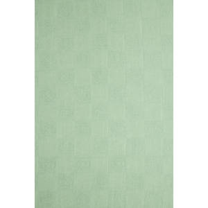 Voile et foulard en modal vert 80x200 - Product Image 2