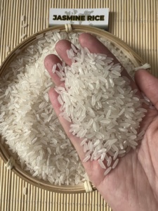 Riz au jasmin de qualité bon marché en gros riz blanc à grain long 5% riz blanc cassé riz au jasmin à grain long prêt à exporter - Product Image 2