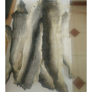 Proveedor de Vietnam de Piel de Pescado Seca/ Fábrica de Piel de Pescado Basa/Pangacius Seca - Product Image 1