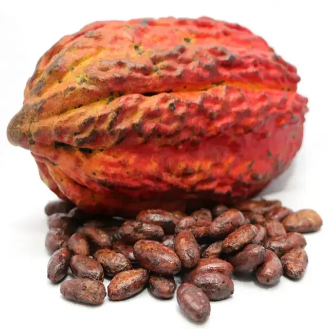 Hot Sale Organic Cocoa Husk Obtained from Cocoa Bean From Direct Manufacturer In Peru