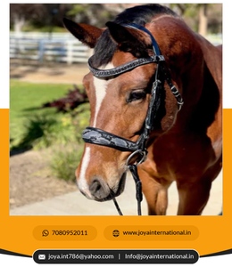 Édition limitée Medusa Snaffle Bridle No Flash Meilleure Qualité Vente en gros Dressage Brides Fournisseur non pérenne - Product Image 5