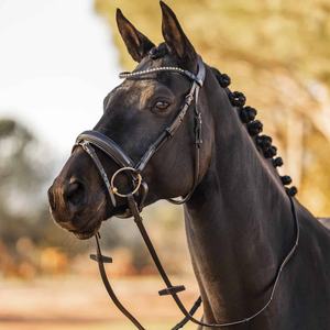 Les fabricants vendent la bride de cheval en cuir véritable en gros conception personnalisée de haute qualité bride de cheval en cuir véritable - Product Image 4