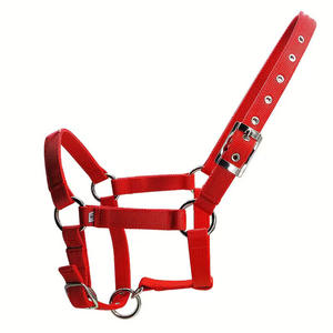 Licol de luxe pour cheval avec système de sécurité, en sangle de polypropylène rembourrée, avec placage en nickel perlé en alliage de zinc - Product Image 1