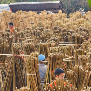 ไม้ไผ่ที่สม่ำเสมอสำหรับระแนงบังตาถั่วและการเจริญเติบโตของพืช - Product Image 2