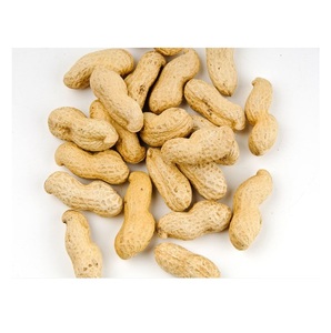 Noix de cajou bio 100% pures, concassées, à prix abordable - Product Image 5