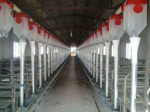 Dispensador de alimentación seca automático para alimentador automático de cerdos Dispensador automático de alimentador automático de cerdos - Product Image 6