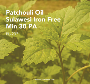 Aceite de Aromaterapia con Aroma Puro a Pachulí de Sulawesi, Sin Hierro, Mínimo 30 PA (PL-203) Van Aroma - Product Image 1