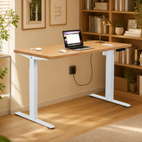 Escritorio Eléctrico Ajustable en Altura de 2 Etapas al por Mayor, Escritorio Motorizado para Sentarse y Estar de Pie con Control de Memoria Inteligente y Tecnología Zero-Wobble