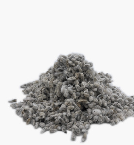 Premium Grade Organic Cotton Seeds For Sale - Product Image 6