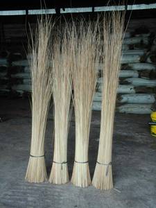 Palitos de hoja de coco crudo 100% para herramienta de jardín, limpiador de escoba de hierba, palo de escoba de coco GIA NGUYEN - Product Image 2