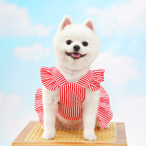 Robe pour animaux de compagnie, design élégant, tendance, imprimé simple, printemps été, confortable, respirante, luxe, vente en gros pour chats - Product Image 6
