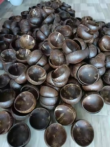 Bol en Coque de Noix de Coco Naturelle de Haute Qualité, Écologique, pour Servir les Aliments, Fabriqué au Vietnam, Dragonex Vietnam CCS01 2025 - Product Image 5