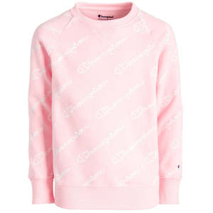 Felpa con Cappuccio Rosa da Ragazza Champion con Stampa Scritta, Stile Casual per Autunno e Inverno, Taglia Media - Product Image 1