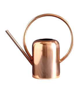 Design Simple Bronze Maison Jardin Arrosoir Vintage Eau Servant Aux Pots Idéal Pour L'irrigation De Jardin Fournitures Décoratives - Product Image 4