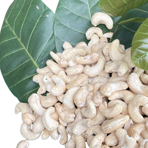 ถั่วเม็ดมะม่วงหิมพานต์จากเวียดนามเม็ดมะม่วงหิมพานต์เม็ดมะม่วงหิมพานต์ Ww180 Ww240 Ww320พร้อมบรรจุภัณฑ์แบบกำหนดเอง - Product Image 1