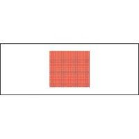 Microscope Slides with Mini Grid 0.1mm to 10mm Squares