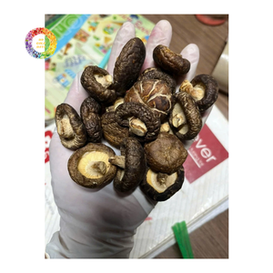 Champignons Shiitake séchés de qualité supérieure, séchés au soleil, champignons chinois pour l'exportation et la transformation alimentaire - Product Image 3