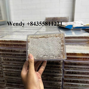 LA DULCES DE LA NATURALEZA: 100% MIEL SALVAJE NATURAL DE ALTA CALIDAD - Product Image 1