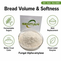 Poudre d'enzyme alpha-amylase fongique de qualité alimentaire 100 000 U/g pour la pâtisserie