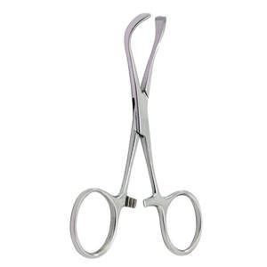 Pinzas de toalla Lorna de acero inoxidable de alta calidad, pinzas de abrazadera de tubo de 10cm, exportador y fabricante de Surgiright - Product Image 1