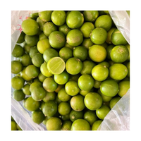 Citron frais sans pépins du Vietnam / Citron vert frais de 6 cm de diamètre, citron vert sans pépins du Vietnam pour l'exportation