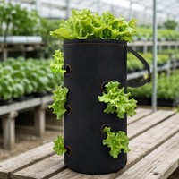 Sac de culture en feutre pour élagage aérien avec poignées, pot de culture en tissu non tissé pour serre, herbes et légumes, vente en gros