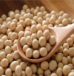 Soja AD Orgánica de Alta Calidad, Sin OMG, Secada Naturalmente y Congelada, Empaque a Granel de 15 kg, Makamane Sudáfrica, 12 Meses de Vida Útil - Product Image 1