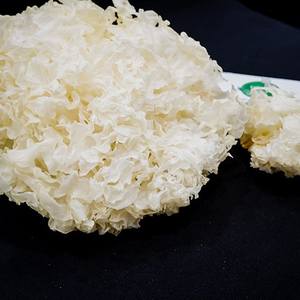 เห็ดหิมะจำนวนมากสำหรับทำอาหาร เห็ดหิมะ อาหารพิเศษของเวียดนาม - Product Image 3