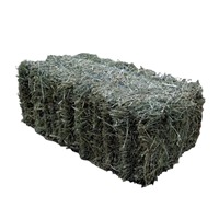 Foin de Timothy de Haute Qualité, Naturel, Frais et Séché en Vrac, Riche en Fibres pour Lapins, Cochons d'Inde, Chevaux, Poissons, 100% Naturel