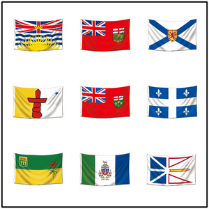 Bandera Personalizada de Nueva Tierra Firmina <span class=keywords><strong>y</strong></span> <span class=keywords><strong>Labrador</strong></span>, Bandera Canadiense Provincial para Colgar en la Pared, de Poliéster para Exteriores, con Ojales de Latón - Product Image 2