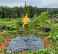 Tapis de protection de barrière d'arbre en anneau, réutilisable, carré, pour le contrôle des mauvaises herbes, protection des racines, barrière anti-herbe, tapis en tissu tissé