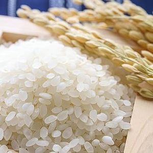 ข้าวเมล็ดสั้น บรรจุถุง BOPP 2 ชั้น ขนาด 50 กก. พร้อมถุง PE ด้านใน ข้าวเมล็ดสั้นพันธุ์ญี่ปุ่น ข้าวขาวนิ่ม หักง่าย 5% - Product Image 3