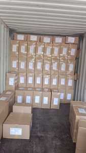 12 Inch Deep Areca Palm Leaf Eco-Friendly Disposable Plates Freezer <b>Safe</b> <b>Heavy</b> <b>Duty</b> Lightweight-Global NEXO EXPORT Model - Product Image 4