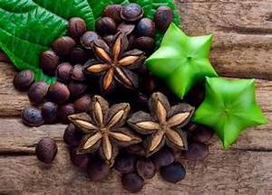 VEGAN FRIENDLY SACHA INCHI SUPERALIMENTO CON NUTRIENTES EQUILIBRADOS PARA LA FUNCIÓN INMUNE BIENESTAR DEL CORAZÓN Y CUIDADO DE LA PIEL - Product Image 3