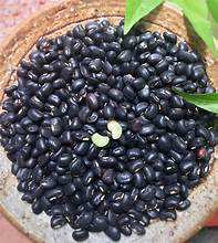 FUENTE DE PROTEÍNAS PLANTAS BLACK BEAN SUPERALIMENTO ALTO EN ANTIOXIDANTES Y ETIQUETA LIMPIA - Product Image 6