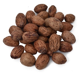 Amra Pod Jarrón seco Rellenos Plantas decorativas Popurri para el hogar o la oficina Diseño floral elegante para uso en interiores - Product Image 1