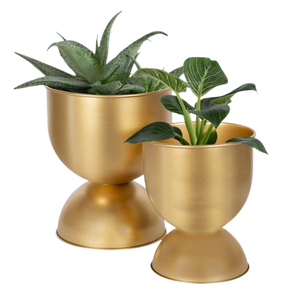 ชุดกระถางต้นไม้ตั้งโต๊ะ - Product Image 2