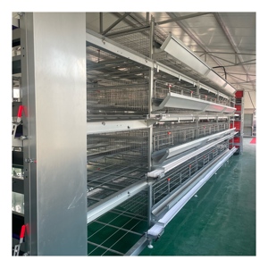 Bon prix équipement d'élevage d'animaux et de volailles cages en batterie pour poulets pondeuses batterie automatique poulet - Product Image 6