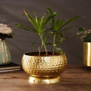 Jardinière en métal plaqué or de qualité design HHO Pots de fleurs ornements de jardin galvanisés décoratifs finition brillante personnalisée - Product Image 4