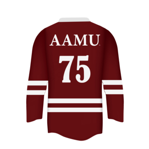 Top Trending Custom Made Ice Hokey Jersey Camiseta de hockey sobre hielo de manga larga para el proveedor del equipo de Pakistán - Product Image 4